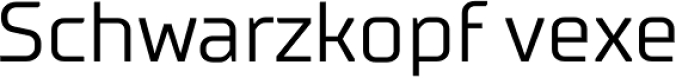 Chank font download