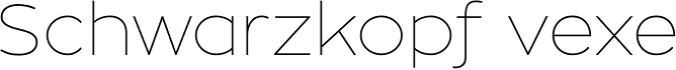 Zona Pro Hairline font download