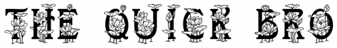 Lotus font download
