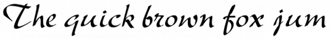 New Berolina Font Preview