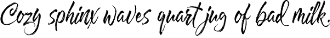 Hayne Script Font Preview