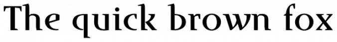Runa Serif Font Preview