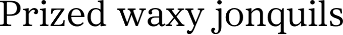 Core Serif N font download