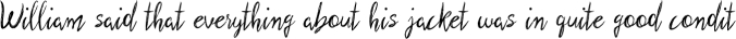 Scratched Brush Script Font Preview