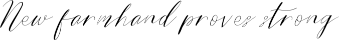 Bride Style font download