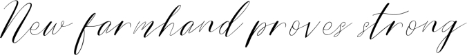 Bride Style Font Preview