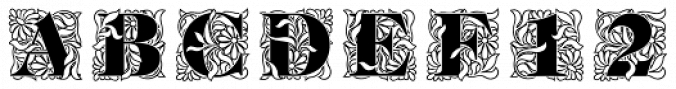 Ornate Initials Font Preview