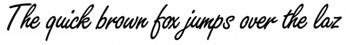 Freestyle Script Font Preview