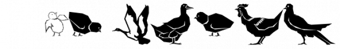 Polytype Birds font download