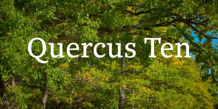 Quercus 10 font preview