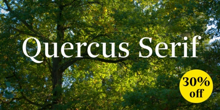 Quercus Serif font preview