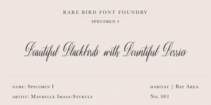 Rare Bird Specimen I font preview