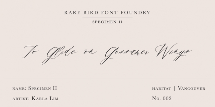 Rare Bird Specimen II font preview