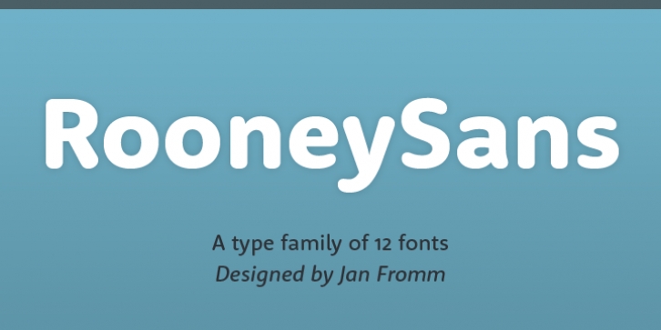 Rooney Sans font preview