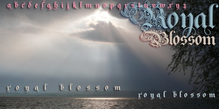 Royal Blossom font preview