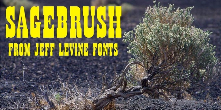 Sagebrush JNL font preview