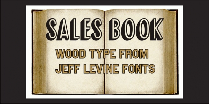 Sales Book JNL font preview