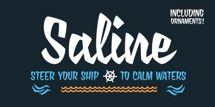 Saline font preview