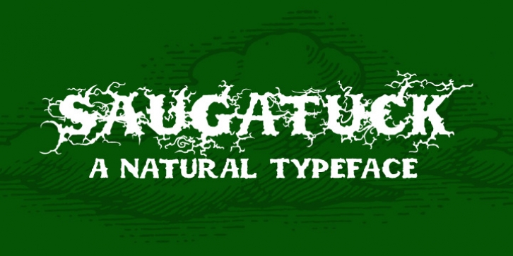 Saugatuck font preview