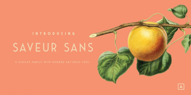 Saveur Sans font preview