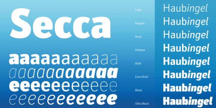 Secca font preview