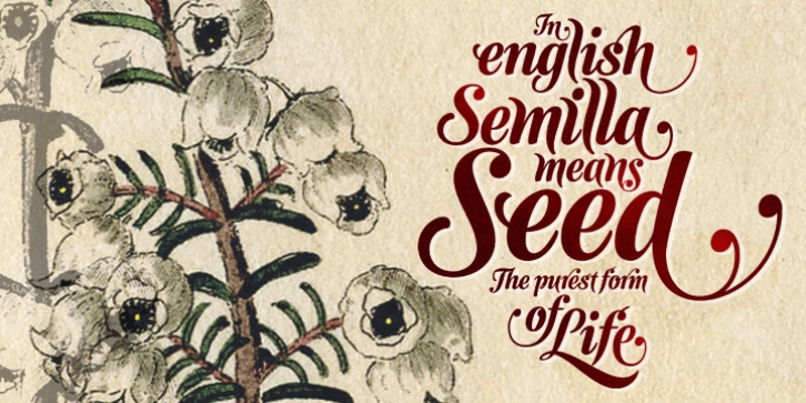 Semilla font preview