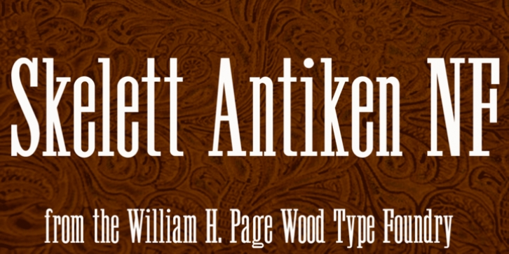 Skelett Antiken NF font preview