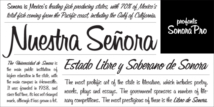 Sonora font preview