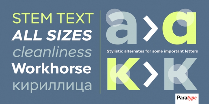 Stem Text font preview