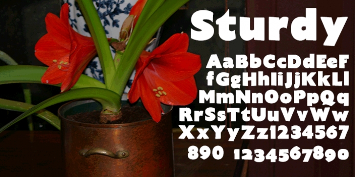 Sturdy font preview