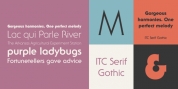 ITC Serif Gothic font download