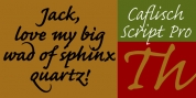 Caflisch Script Pro font download