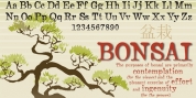 Bonsai font download
