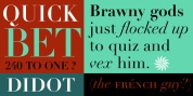 Didot font download