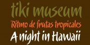 Candombe Pro font download