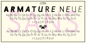 Armature Neue Sans font download
