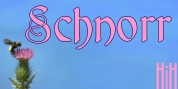 Schnorr font download