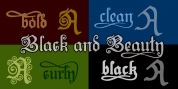 Black And Beauty font download