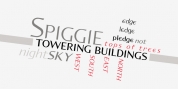 P22 Spiggie Pro font download