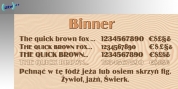 Binner font download