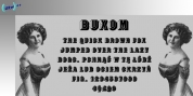 Buxom font download