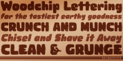 Woodchip font download