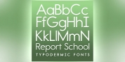 Report School font download