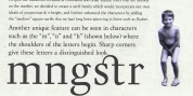 Steinburg Modern font download