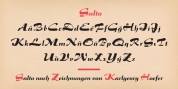 Salto font download