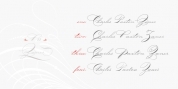 P22 Zaner Pro font download