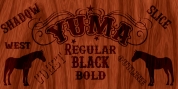 Yuma font download