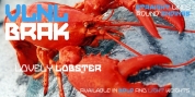 VLNL Brak font download