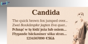 Candida font download