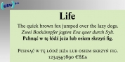 Life font download